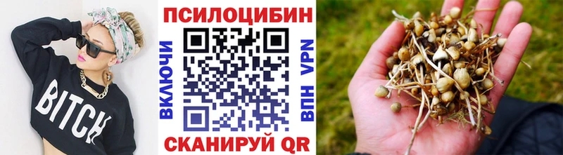 даркнет как зайти  omg онион  Северо-Курильск  Галлюциногенные грибы MAGIC MUSHROOMS 